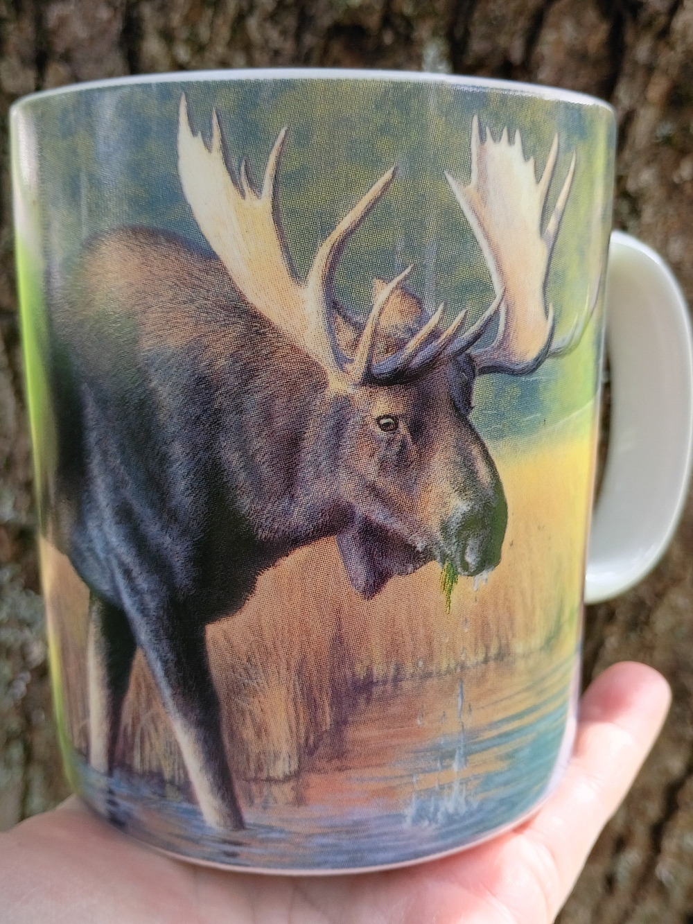 Reflective Art Wildlife Art Moose "The Monarch" John D Cogan Mug